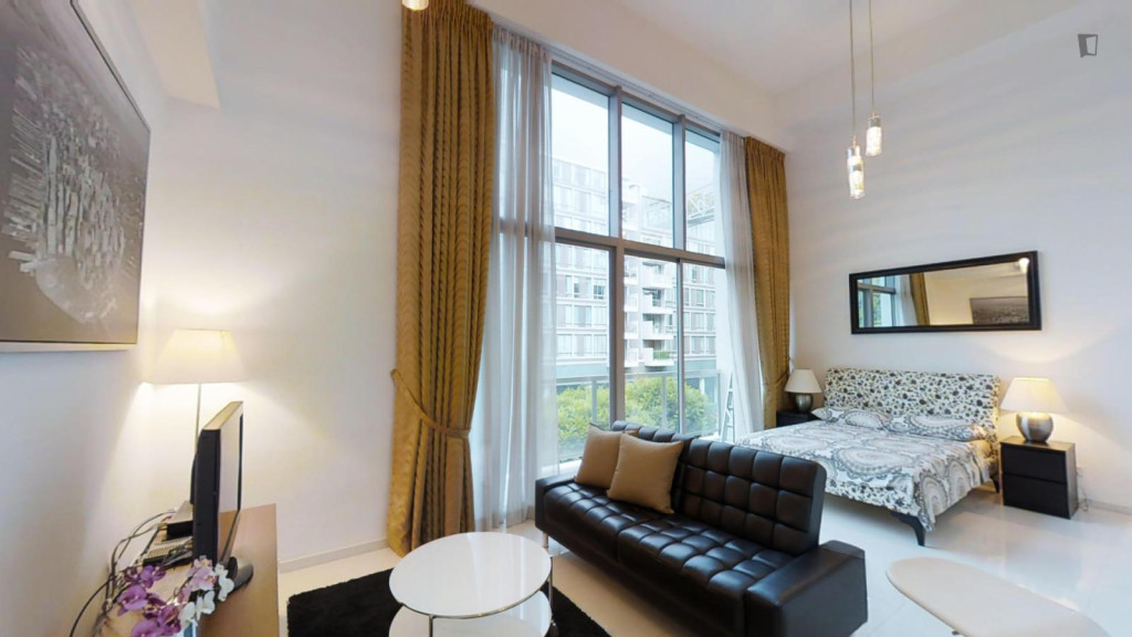 Spacious studio in the Queenstown district
