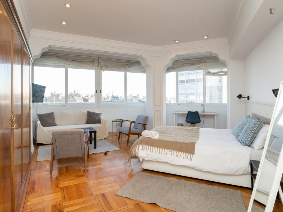 Spacious double bedroom in El Viso - Madrid - chambre - ImmoJeune