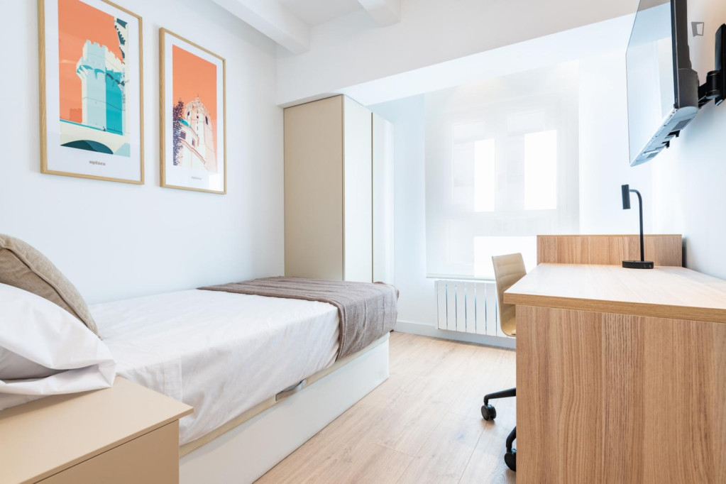 Perfect room in 4-bedroom-apartment in Valencia - Valence - chambre - ImmoJeune