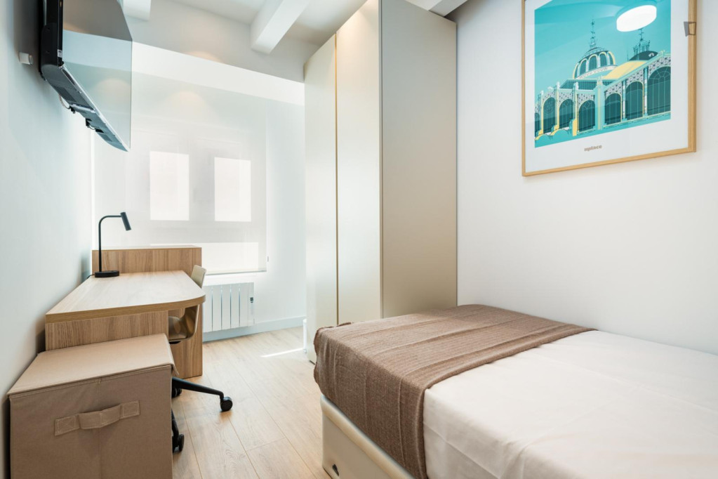 Beautiful room in 4-bedroom-apartment near Universities - Valence - chambre - ImmoJeune