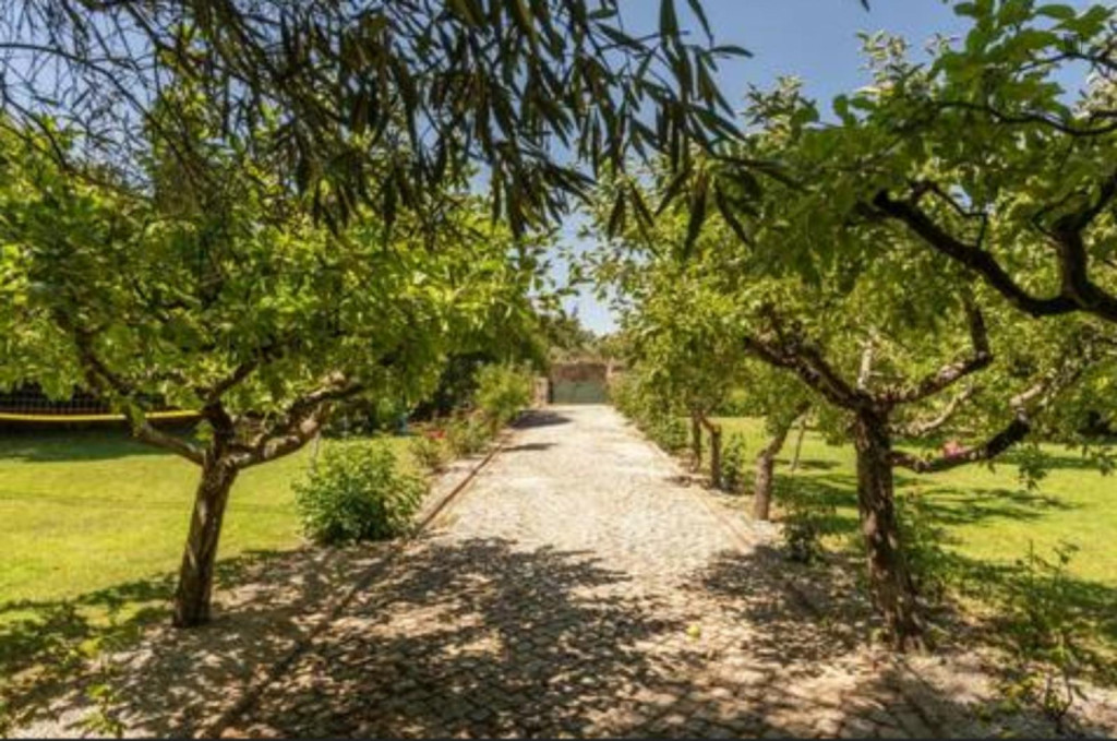 Astonishing 5 Bedroom House with a swimming pool and a Chapel close to Valpaços