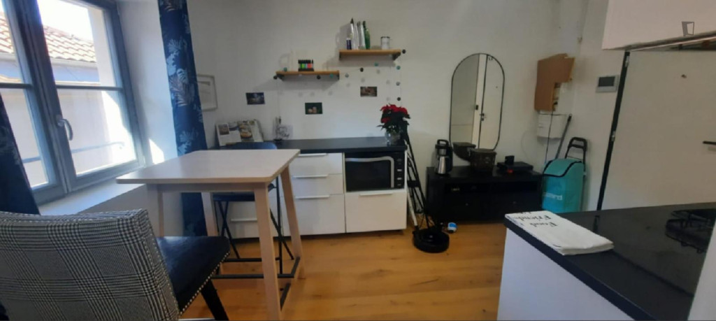 Bright  Cozy Studio  Prime Location by Hôtel de Ville