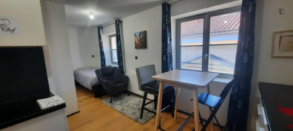 Bright  Cozy Studio  Prime Location by Hôtel de Ville