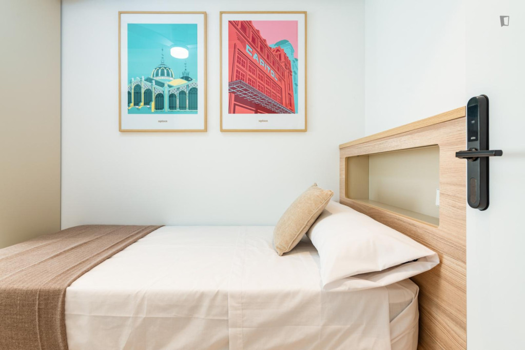 Single bedroom in 4-bedroom apartment - Valence - chambre - ImmoJeune