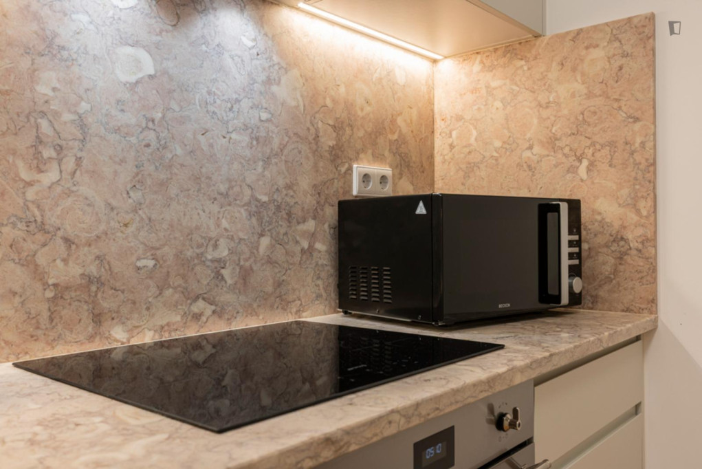 Beautiful 1-bedroom apartment in Graça