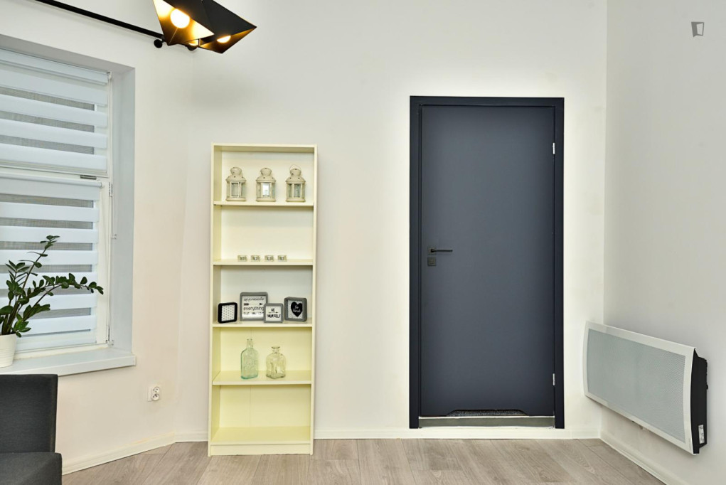 Welcoming 1-bedroom flat near the University of Lodz