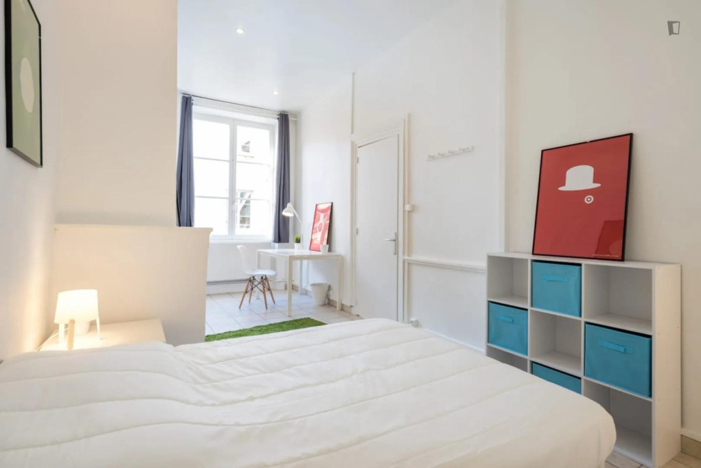 Neat double bedroom not far from Cordeliers metro station