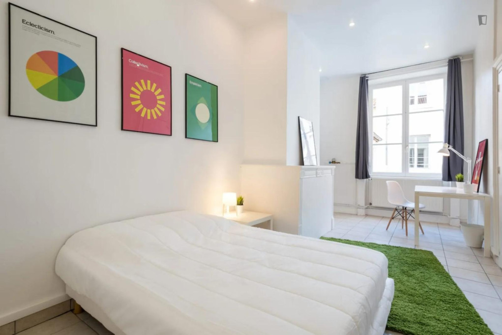 Neat double bedroom not far from Cordeliers metro station