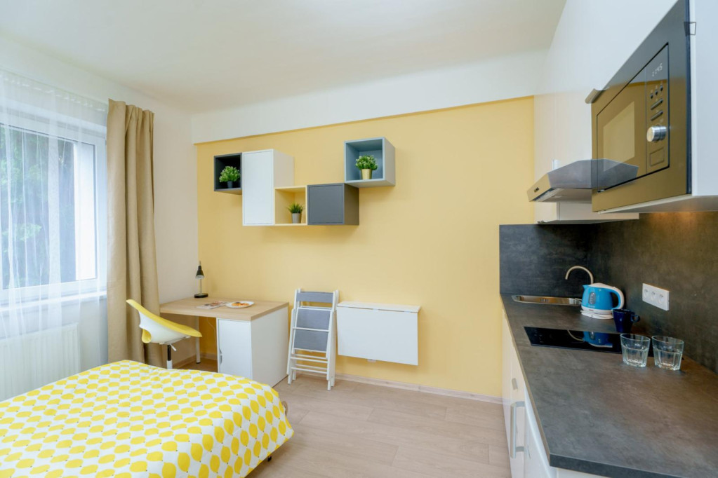 Luminous studio near the Kačerov metro station - Prague - chambre - ImmoJeune