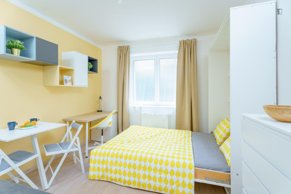 Luminous studio in well-linked Kačerov - Prague - chambre - ImmoJeune