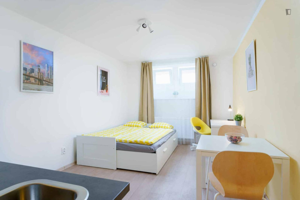 Charming studio near thew Kačerov train station - Prague - chambre - ImmoJeune