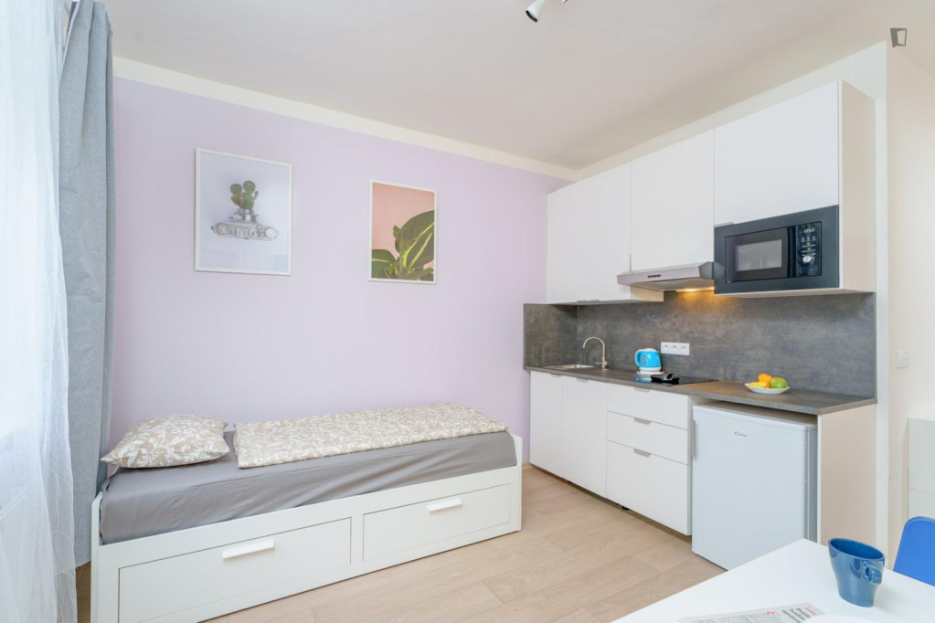 Welcoming studio in Kačerov - Prague - chambre - ImmoJeune
