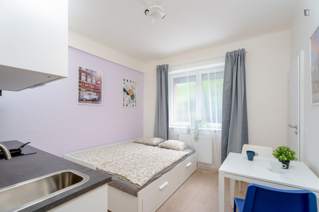 Attractive studio in Kačerov - Prague - chambre - ImmoJeune