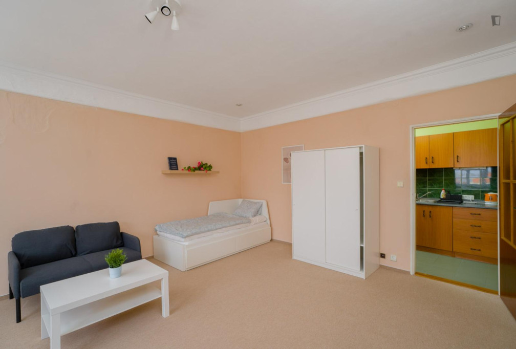 Very inviting and spacious 1-bedroom flat, in Jezerka - Prague - chambre - ImmoJeune