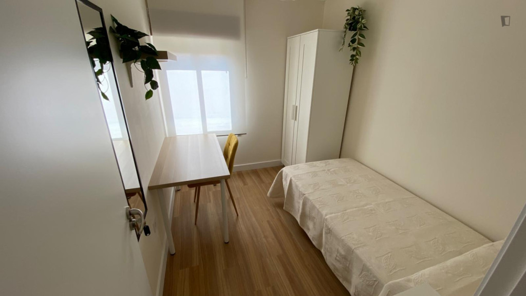 Very nice single bedroom near Universidad de Valladolid - Valladolid - chambre - ImmoJeune