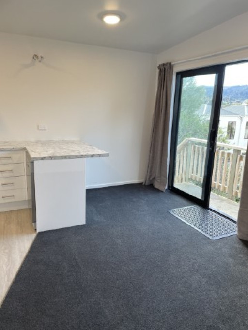 559B George St, North Dunedin