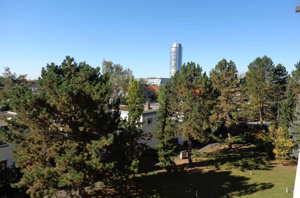 Panorama Lodge