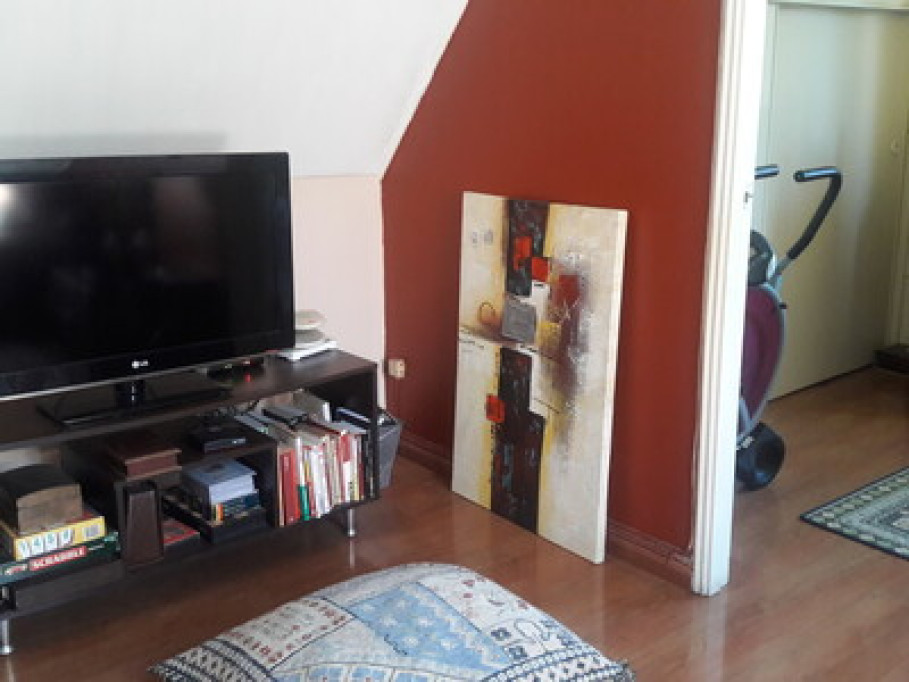 Beautiful house and surroundings in Concepción