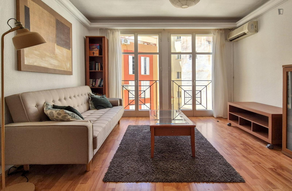 2-bedroom apartment in the historic center with lots of natural light, A/C, and terrace  - Malaga - chambre - ImmoJeune