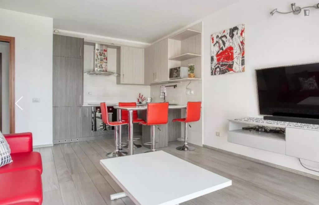 Neat 1 bedroom apartment in Baggio