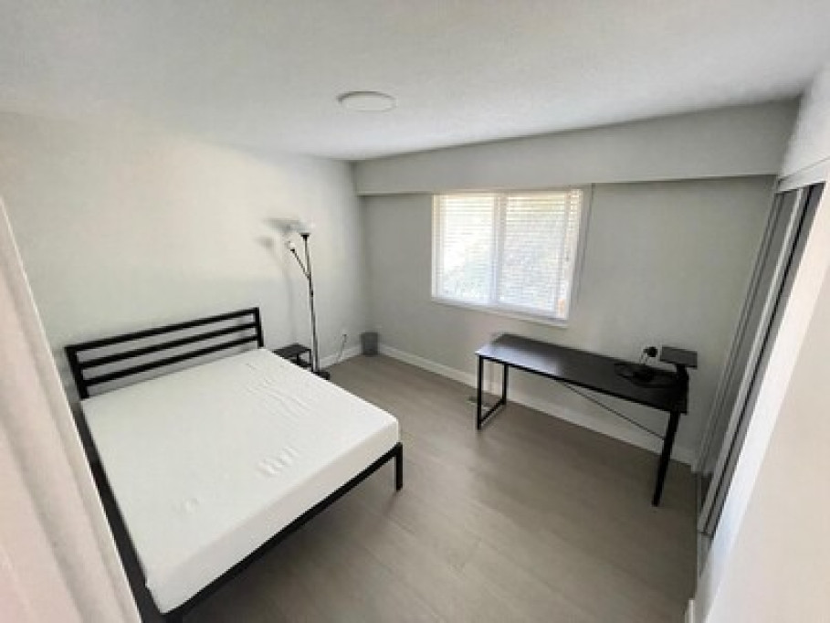 NEWLY RENOVATED BRIGHT HOME
