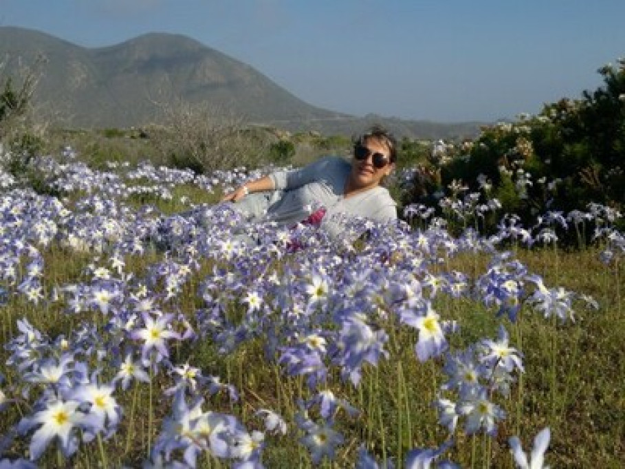 LA SERENA COQUIMBO VALLE ELQUI