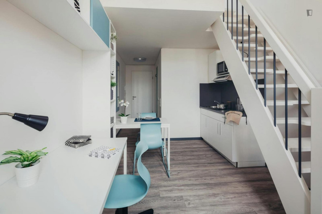 Welcoming studio in Innere Neustadt