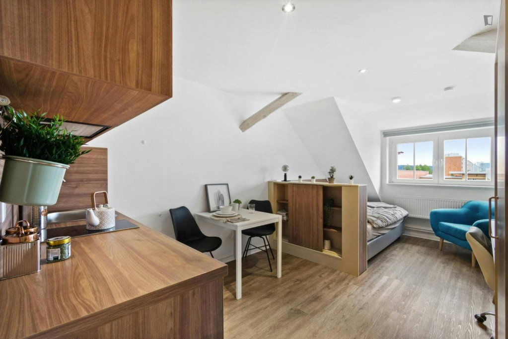 Welcoming studio in Johannstadt