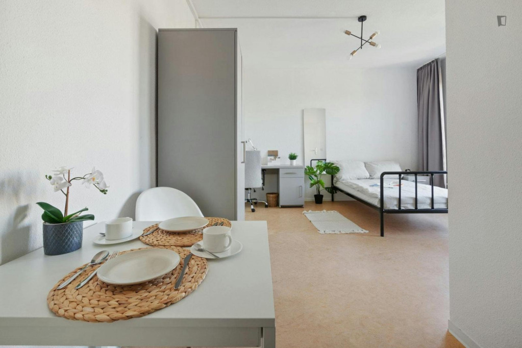 Welcoming studio in Johannstadt