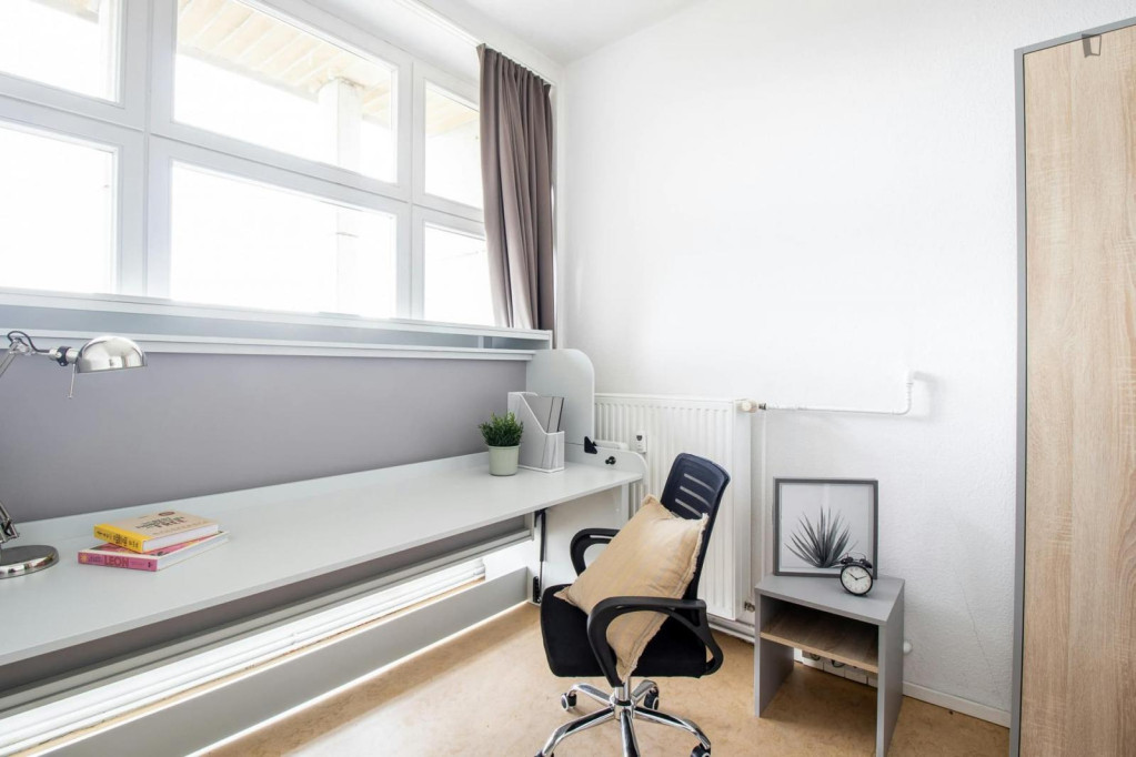 Welcoming studio in Johannstadt - Dresden - chambre - ImmoJeune