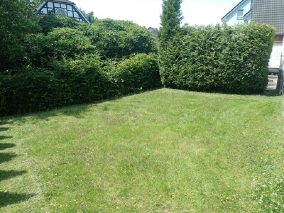 Welcome to my house