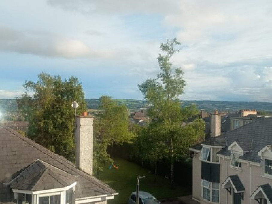 Bellevue 