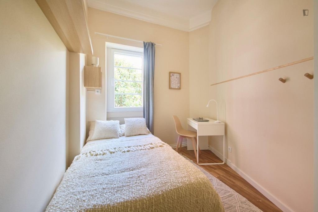 Cosy single bedroom in Alameda