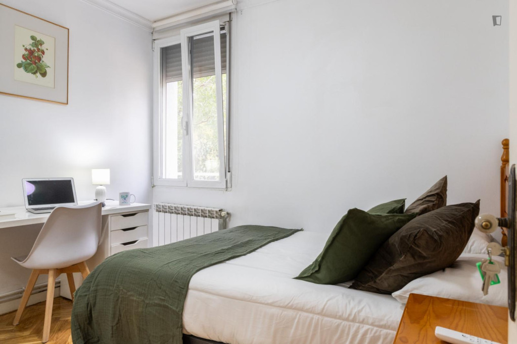 Neat double bedroom near Francos Rodríguez metro station - Madrid - chambre - ImmoJeune