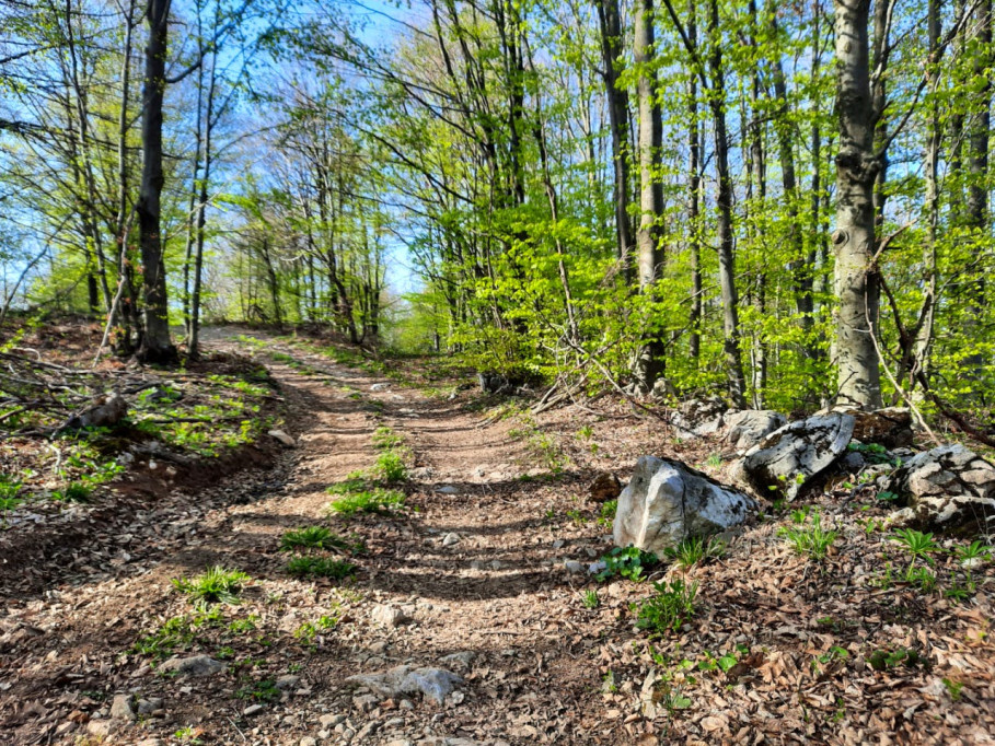 Stylish Mountain Coliving & Co-working + Outdoor Chill Zones + Social Lounge + Nature Wellness