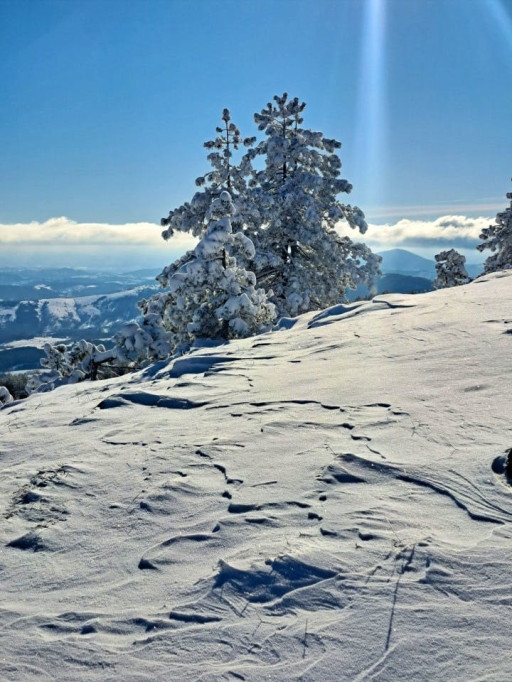 Stylish Mountain Coliving & Co-working + Outdoor Chill Zones + Social Lounge + Nature Wellness