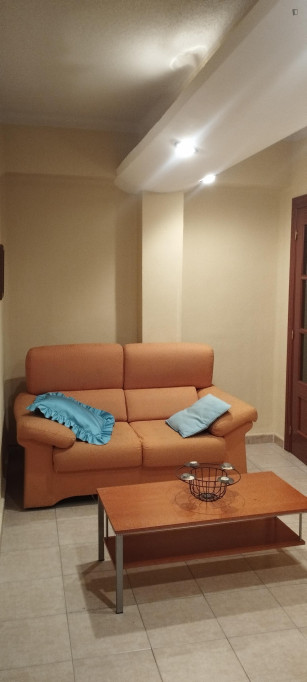 Welcoming 3-bedroom apartment in Barrio del Oeste - Salamanca - chambre - ImmoJeune
