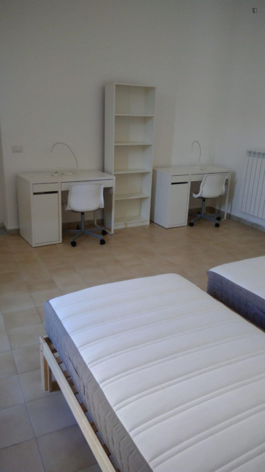 Single Bed in Shared Bedroom
