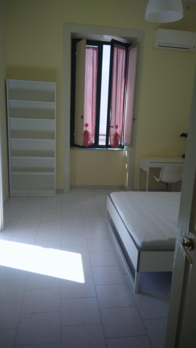 Double Bedroom in a Shared Apartment 