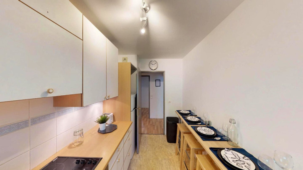 Beautiful Elegant Apt. near Vieux Lille
