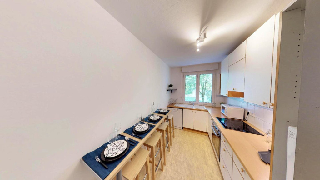 Beautiful Elegant Apt. near Vieux Lille