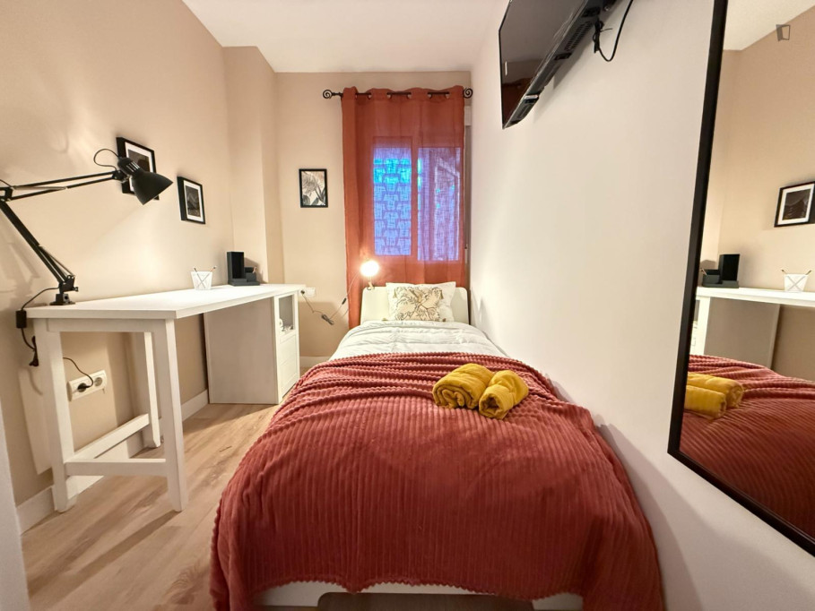Very nice single bedroom near Parc del Tossal  - Alicante - chambre - ImmoJeune