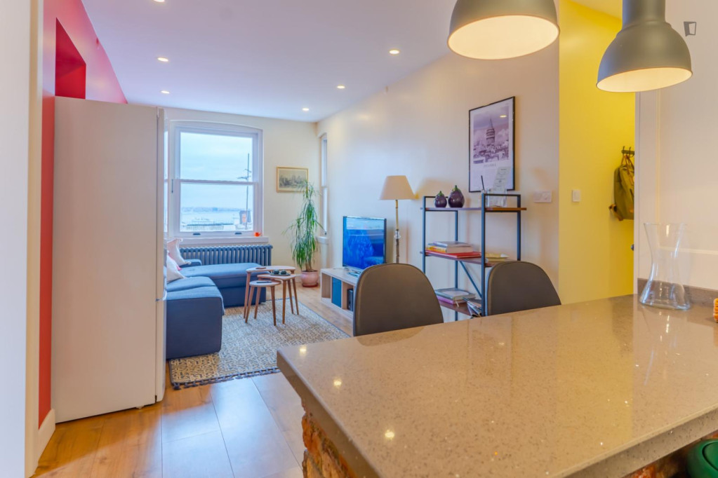 Modern 1-bedroom flat near the Şişhane metro