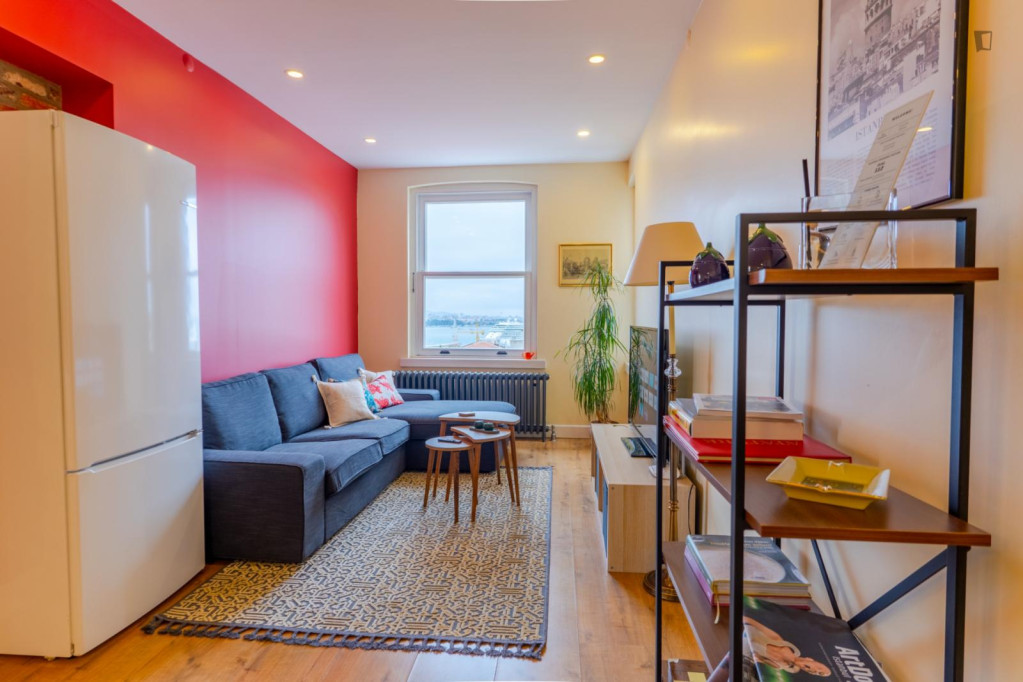 Modern 1-bedroom flat near the Şişhane metro - Istanbul - chambre - ImmoJeune