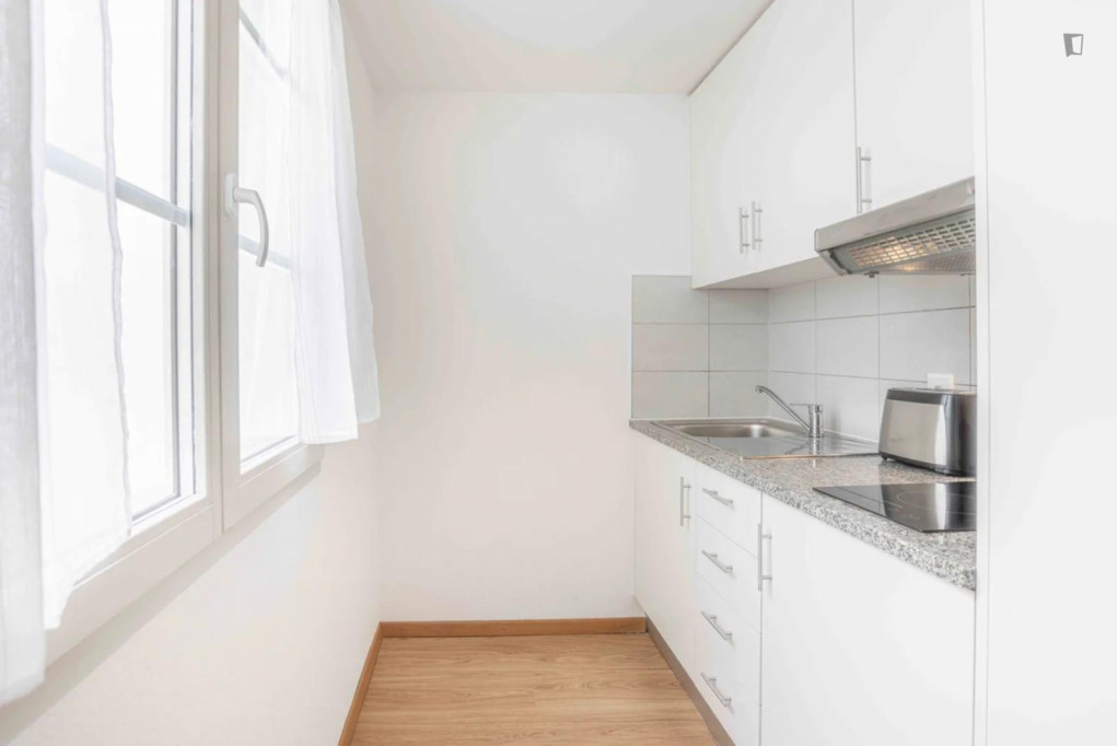 Brilliant studio in the centre of Lausanne