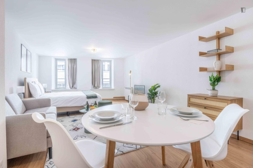 Ample and bright studio in the centre of Lausanne - Lausanne - chambre - ImmoJeune