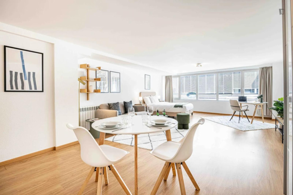 Lovely studio near Riponne-M. Béjart metro station - Lausanne - chambre - ImmoJeune