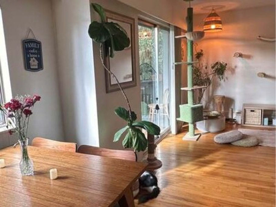 Cozy Tree View Home for Cat Lovers