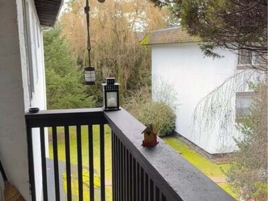 Cozy Tree View Home for Cat Lovers