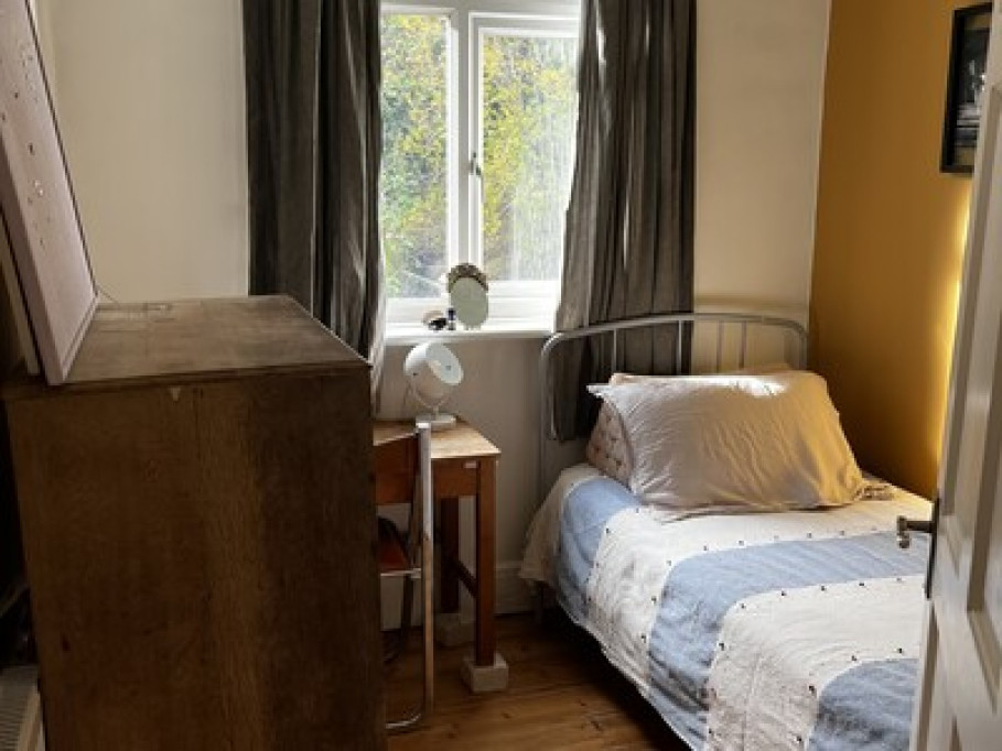 Modern Room with garden view 